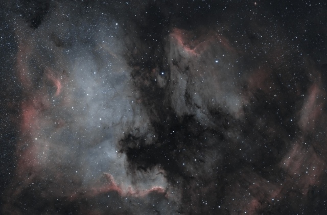 NGC7000 + Pelican