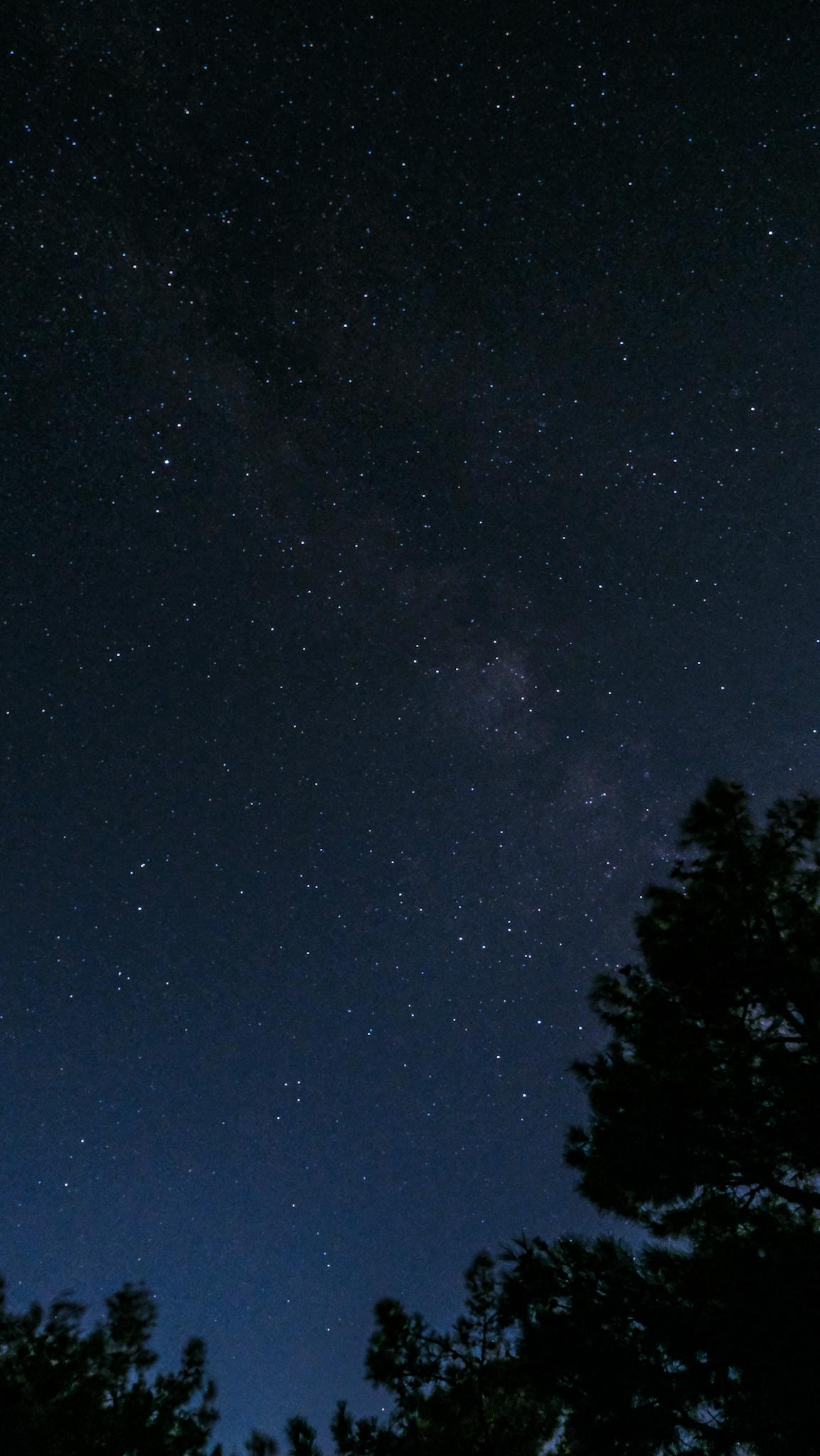 A captivating starry night sky showcasing the Milky Way with silhouetted trees.