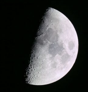 Detailed monochrome image of the half moon showing lunar craters and textures.