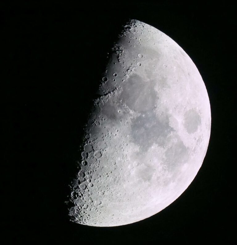 Detailed monochrome image of the half moon showing lunar craters and textures.