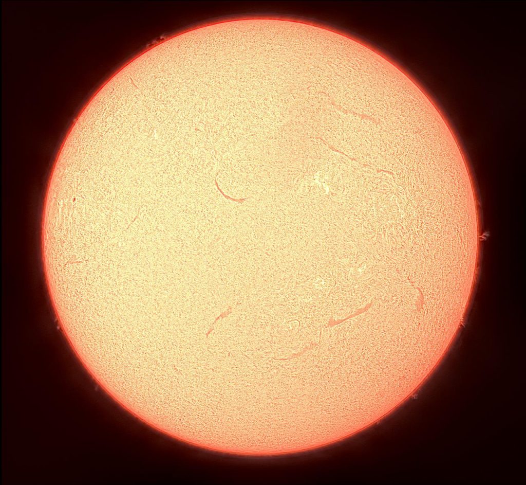 Disque solaire complet photographié en H-alpha, filaments et protubérances visibles