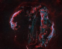 Les dentelles du Cygne