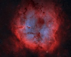 IC1396-Nébuleuse de la trompe d'Eléphant