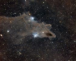 Nébuleuse du Requin