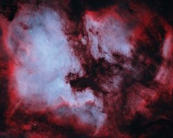 NGC7000 - Nébuleuse de l'Amérique du Nord